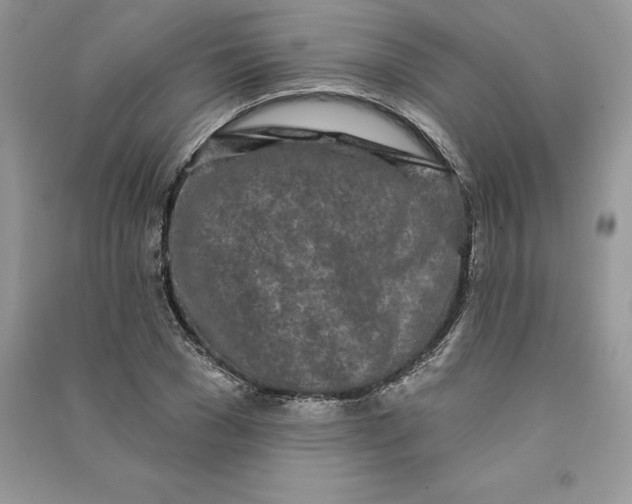 X0000090610977200708141348