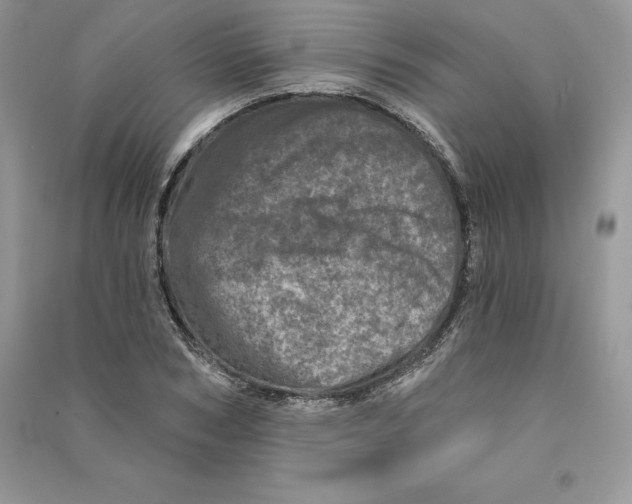 X0000090610978200708141348