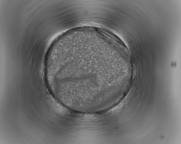 X0000090610979200708141348