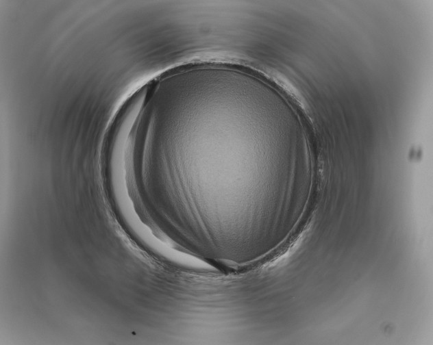 X0000090610981200708141348