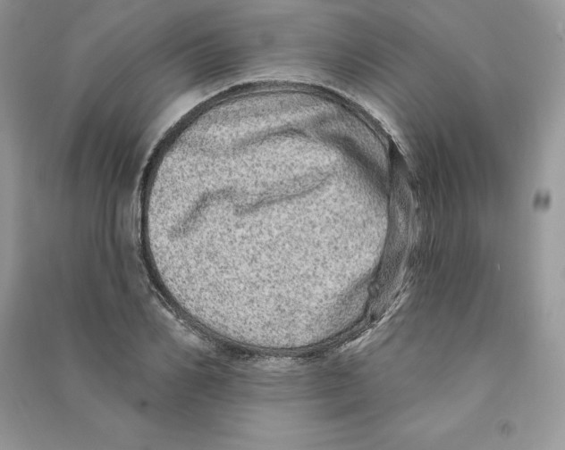 X0000090610982200708141348