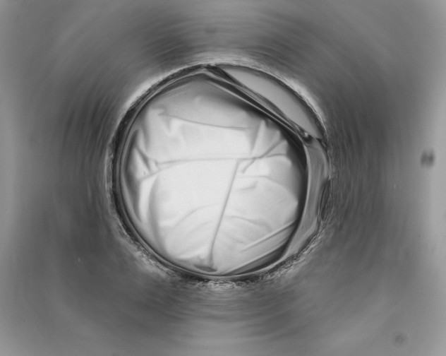 X0000090610983200708141347