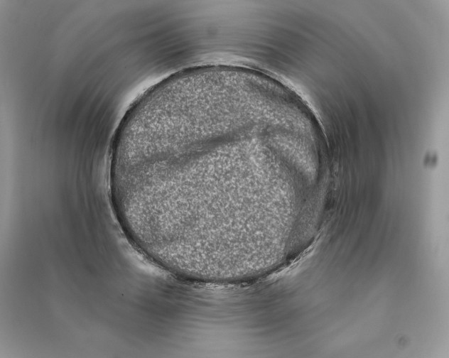 X0000090610987200708141347