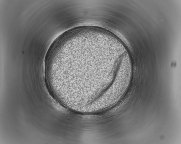 X0000090610988200708141347