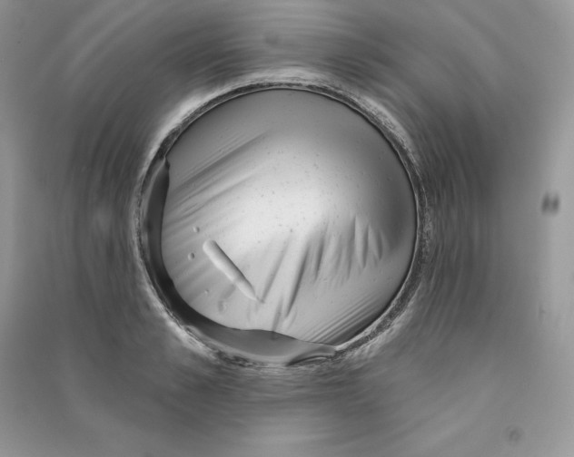 X0000090610989200708141347