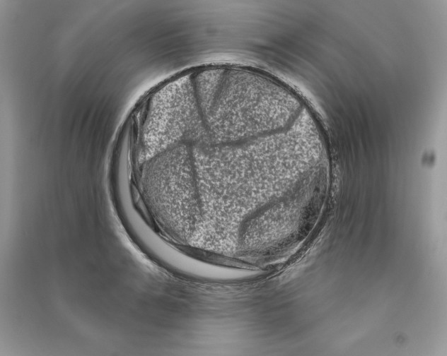 X0000090610991200708141347