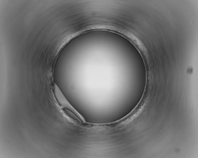 X0000090610993200708141347