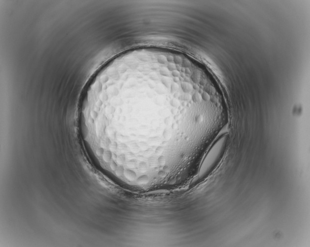 X0000090610994200708141347