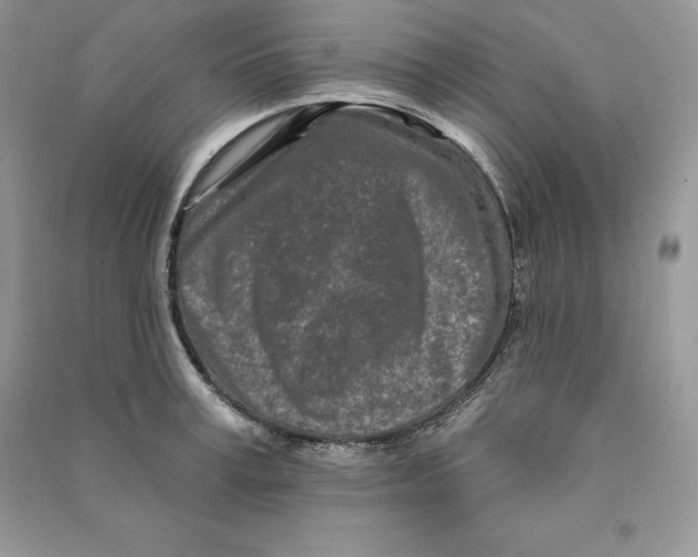 X0000090610995200708141347