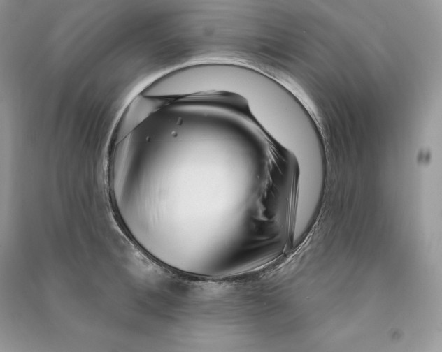 X0000090610996200708141347