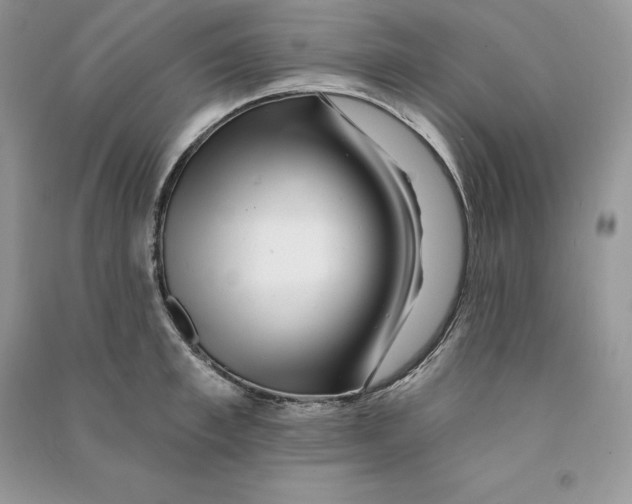 X0000090610997200708141347