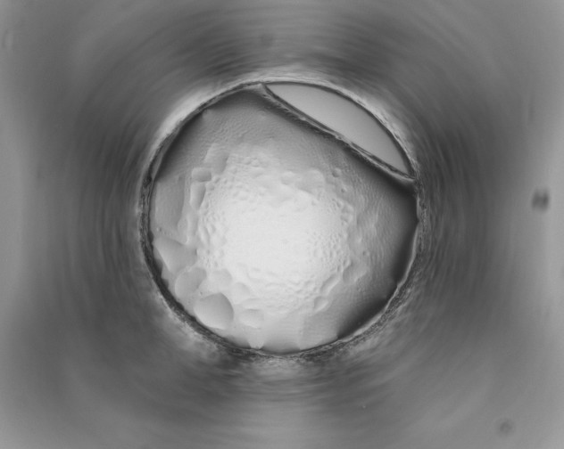 X0000090610998200708141347