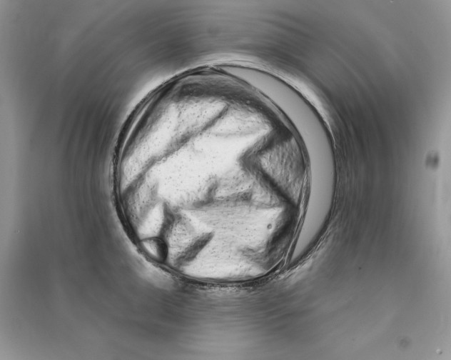 X0000090610999200708141347