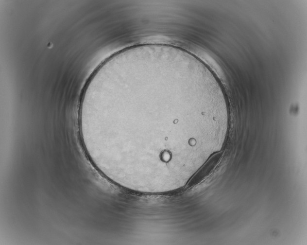 X0000090611000200708141347