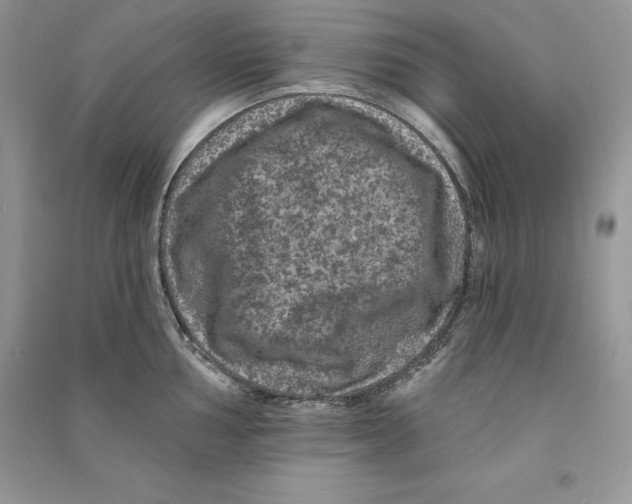 X0000090611002200708141347