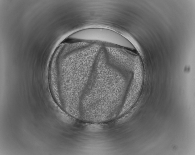 X0000090611004200708141347