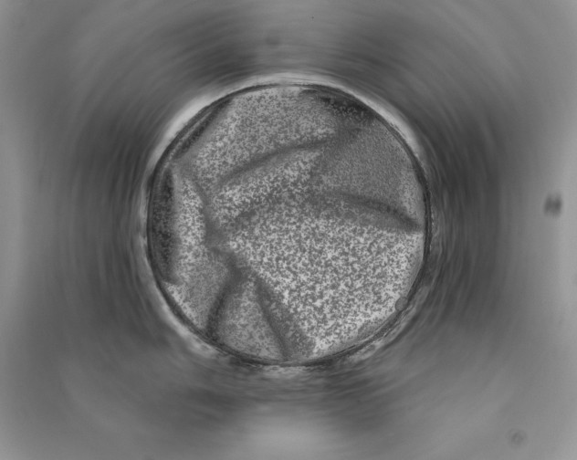 X0000090611006200708141347