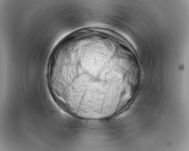 X0000090611007200708141347