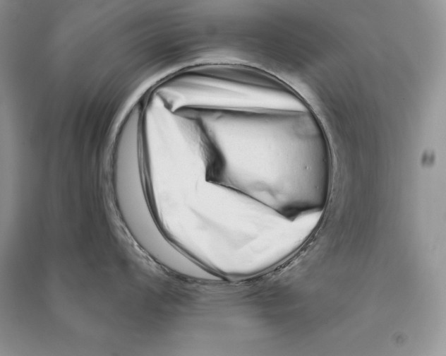 X0000090611008200708141347