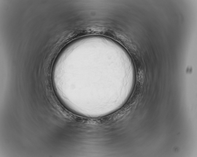 X0000090611009200708141346