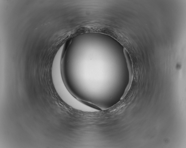 X0000090611010200708141346