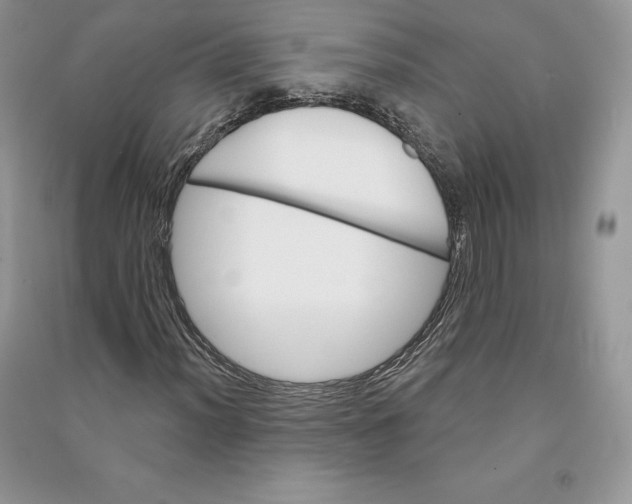 X0000090611012200708141346