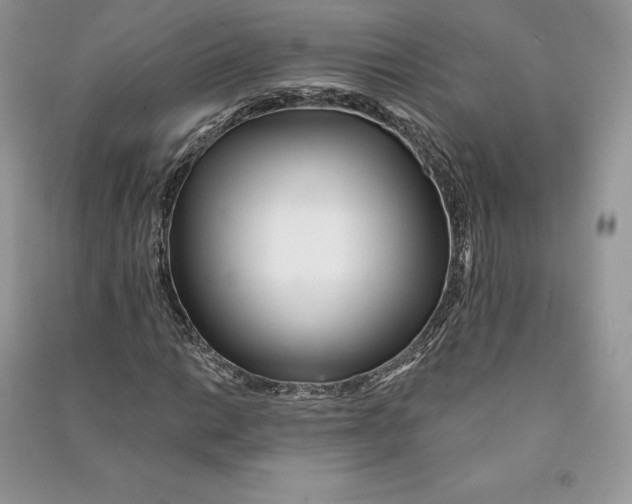 X0000090611014200708141346