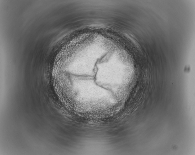 X0000090611015200708141346