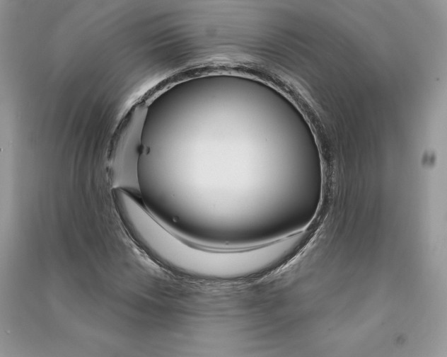 X0000090611018200708141347