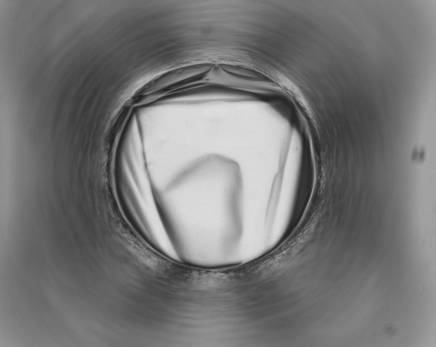 X0000090611019200708141347