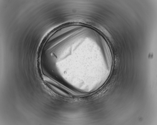 X0000090611020200708141347