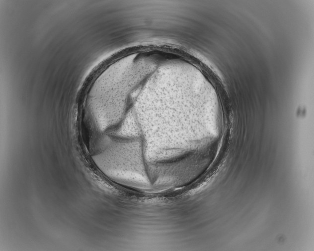 X0000090611021200708141347