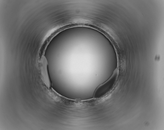 X0000090611022200708141347