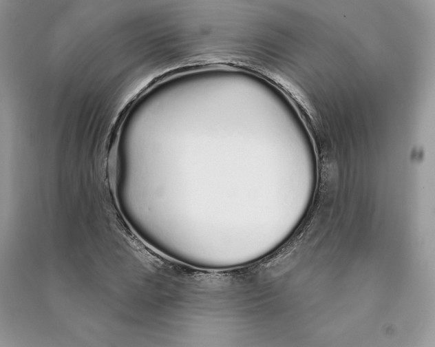 X0000090611023200708141347