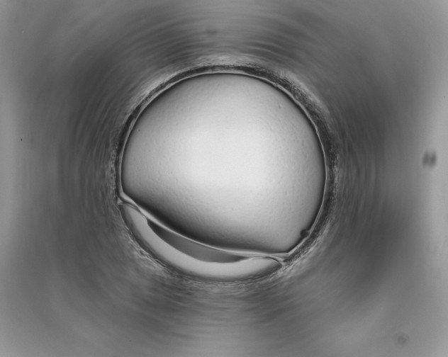 X0000090611025200708141347