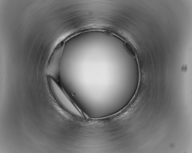 X0000090611026200708141347