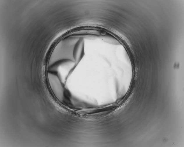 X0000090611029200708141347