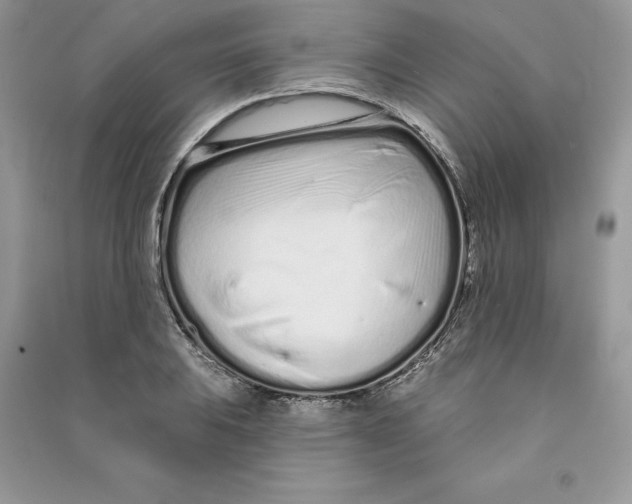 X0000090611031200708141347