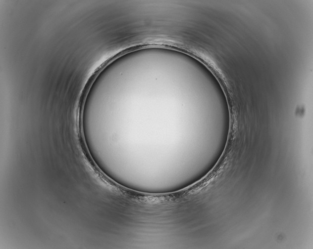 X0000090611032200708141347