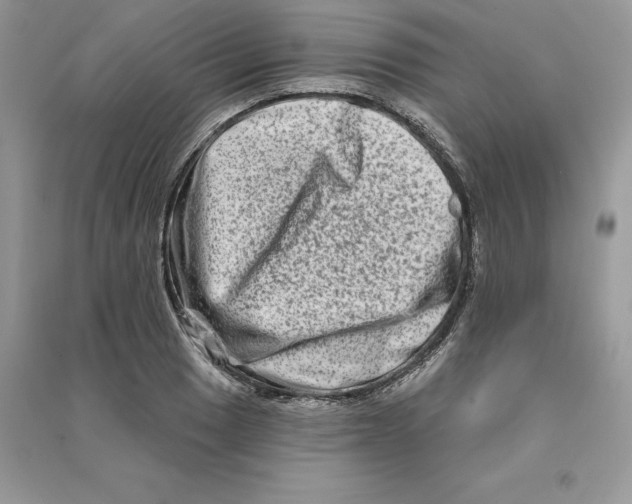 X0000090611033200708141347