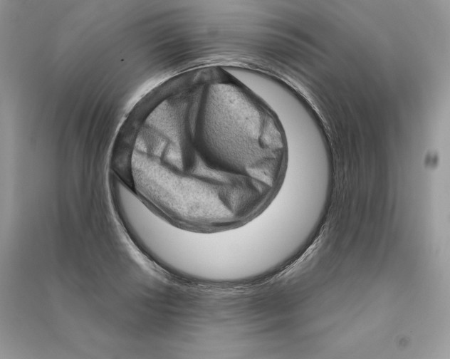 X0000090611034200708141347