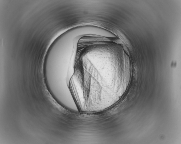 X0000090611036200708141347