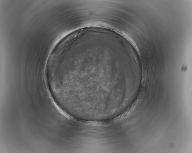 X0000090611037200708141347