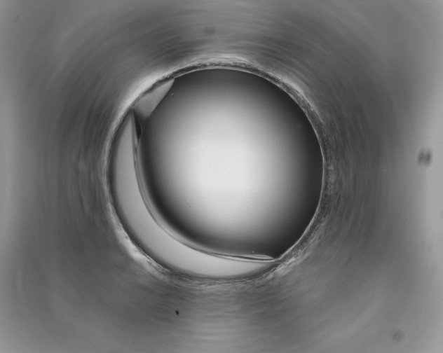 X0000090611038200708141347