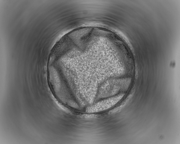 X0000090611041200708141347