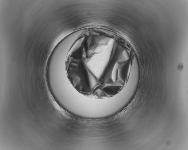 X0000090611042200708141347