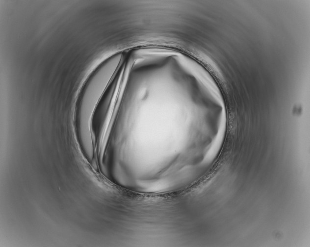 X0000090611043200708141347