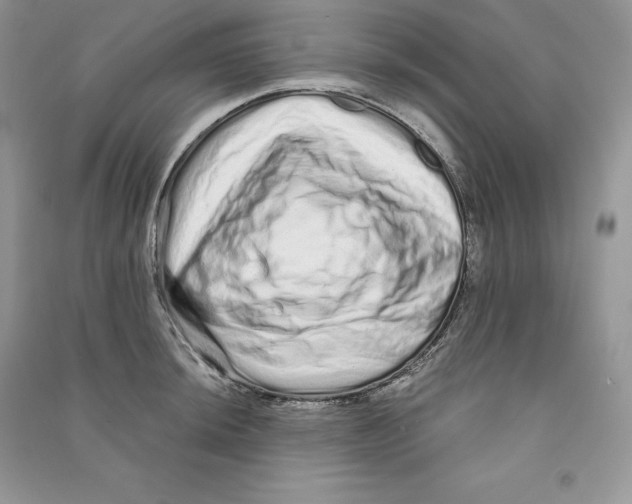 X0000090611044200708141347