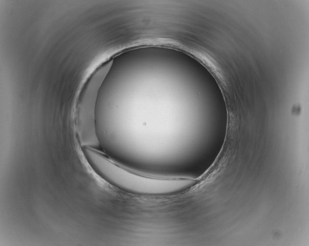 X0000090611046200708141347