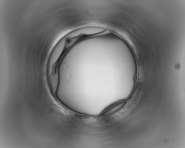 X0000090611048200708141347